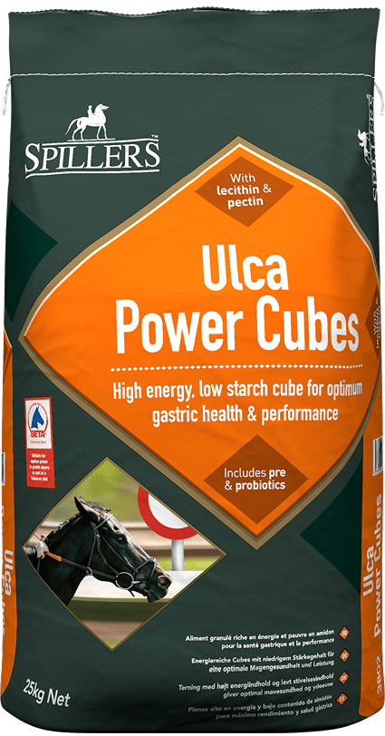Pasza Spillers Ulca Power Cubes na chorobę wrzodową układu pokarmowego 25 kg - Cavalo